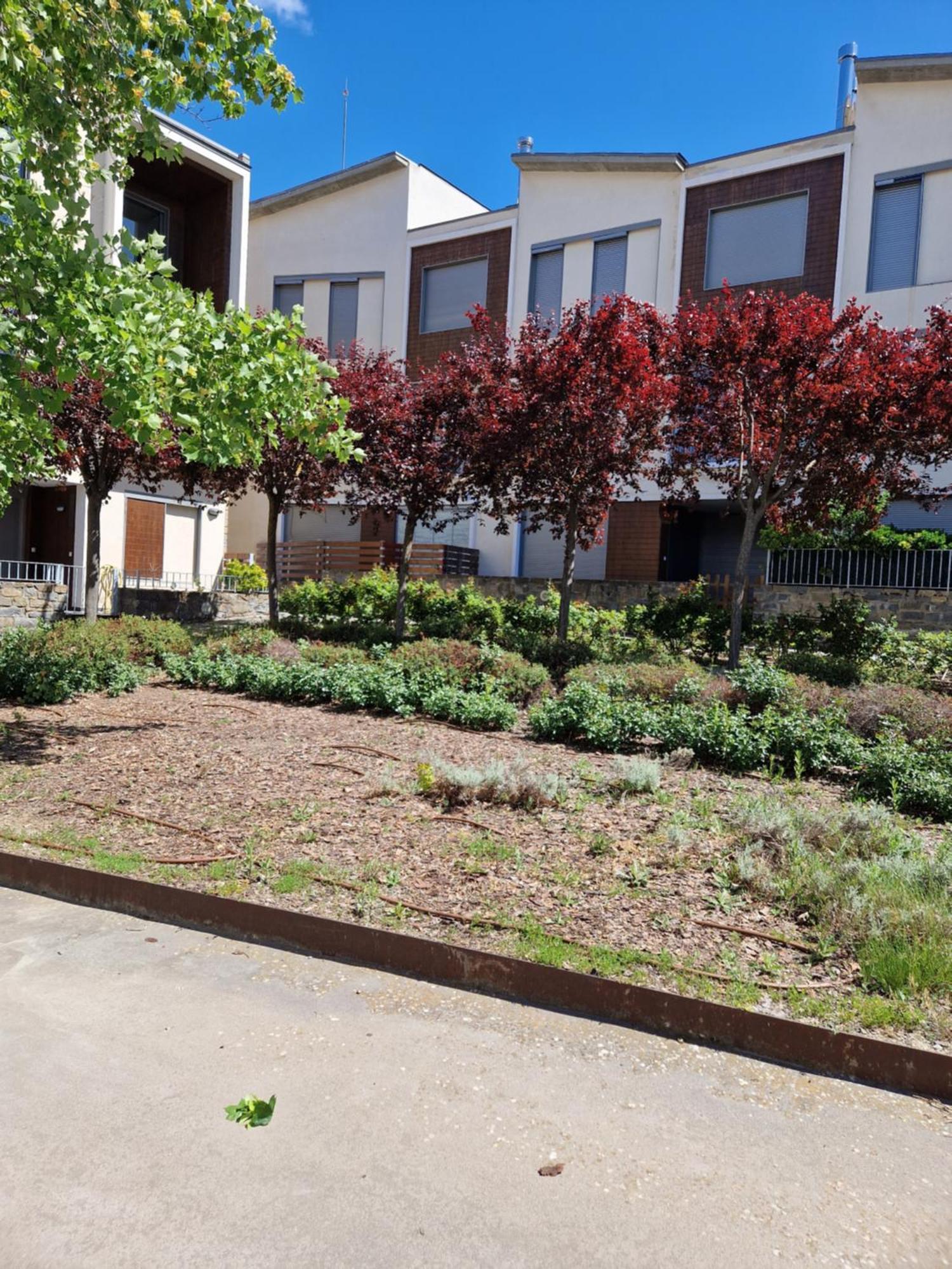 Duplex Gaby Apartment Sabinanigo Exterior photo